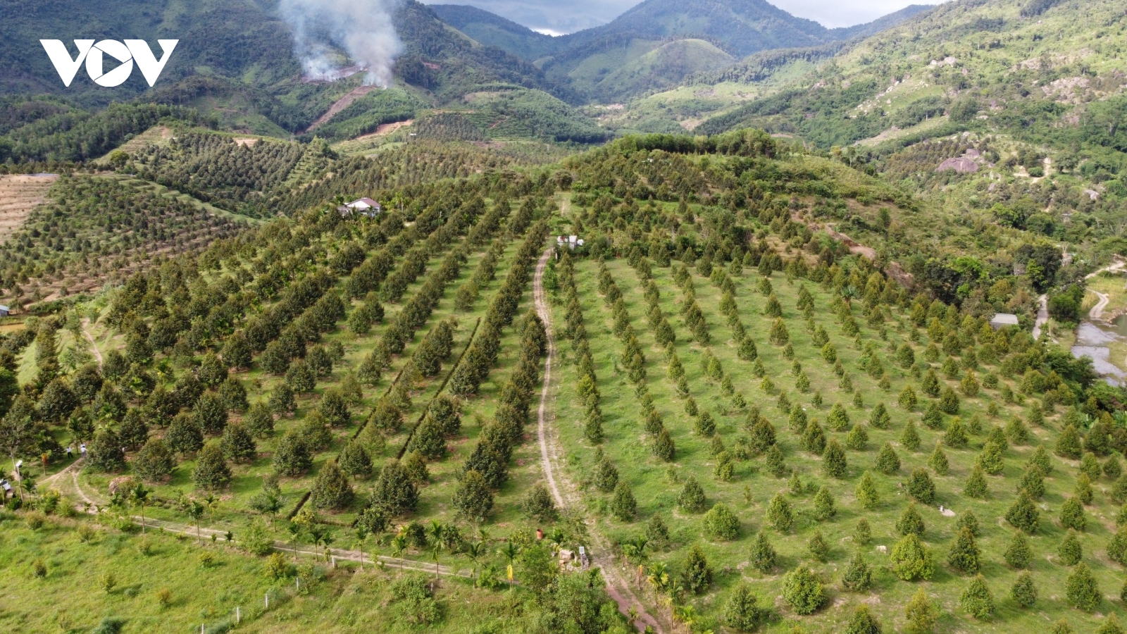 Thu hút đầu tư vào miền núi Khánh Hòa